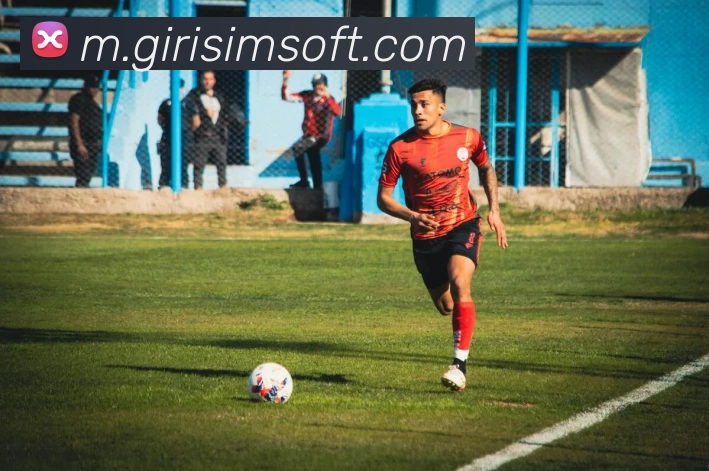 奖项证书